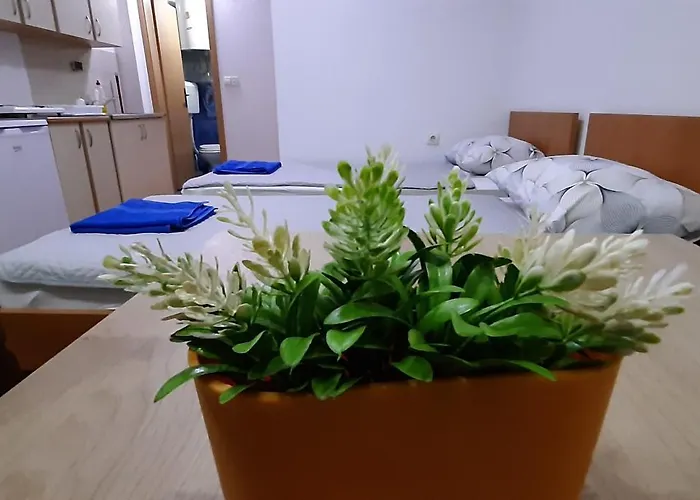 Apartment Riki 3 Near Bus Station